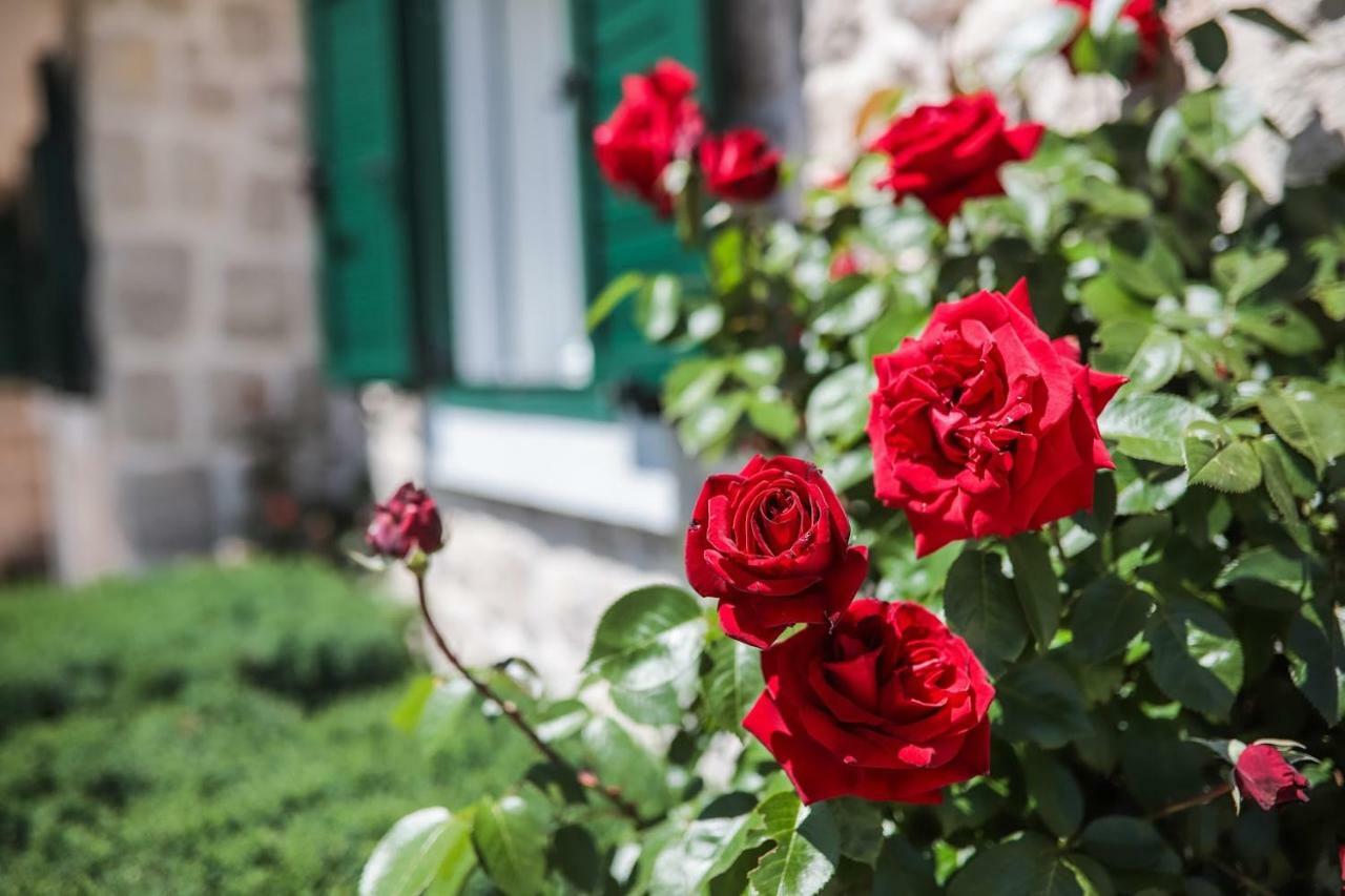Villa Silentio, Complete Privacy Near Makarska พอดโกรา ภายนอก รูปภาพ